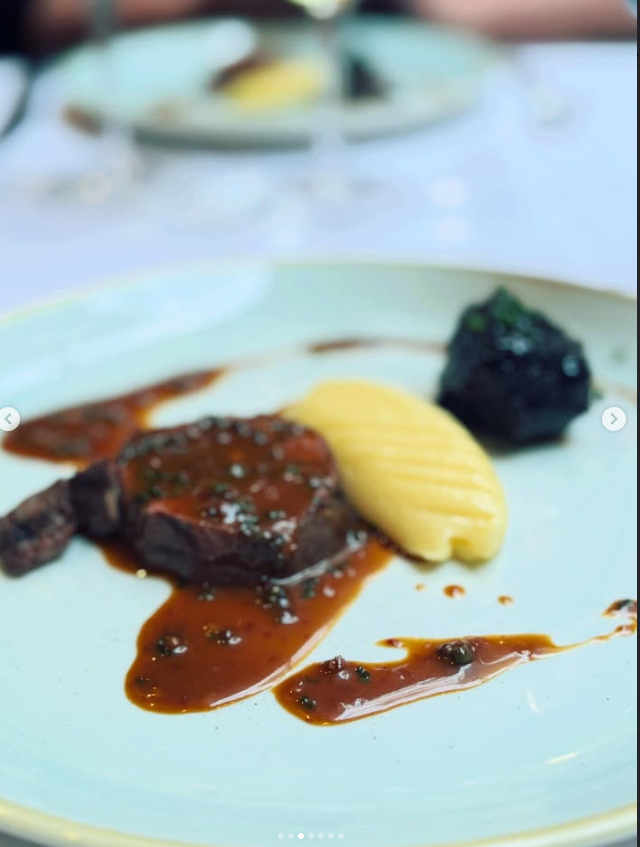 Illustrative seared dish with sauce and a pale yellow accompaniment on a white plate